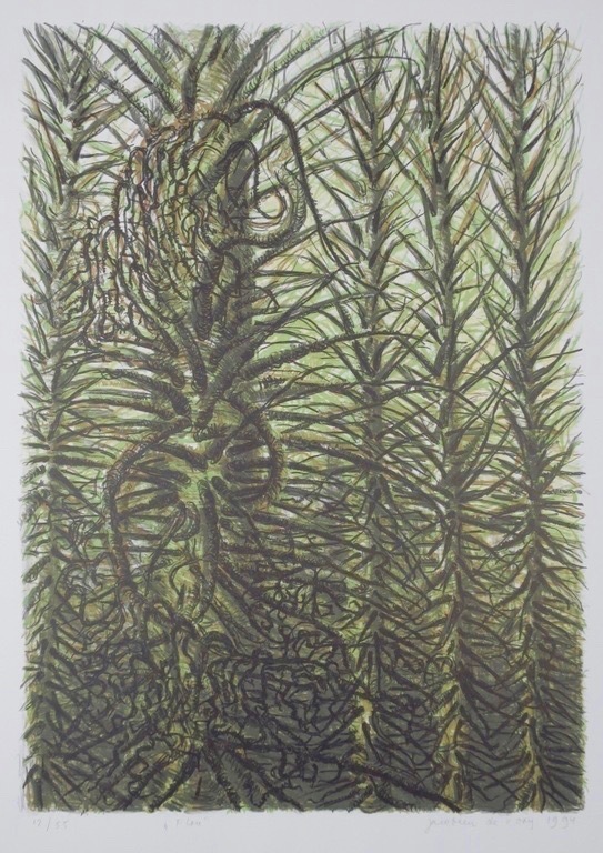 Jacobien de Rooij: Litho, Flou kopen? Bied vanaf 1!