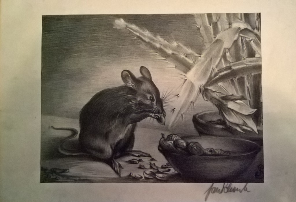 Jan Schonk, litho, muis kopen? Bied vanaf 20!