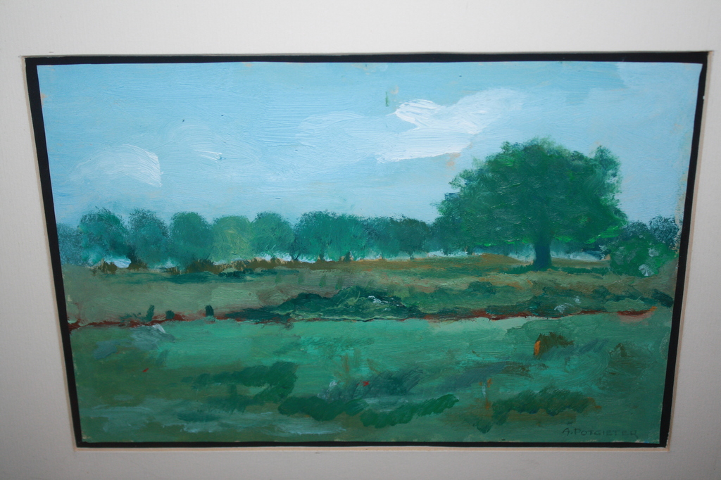 ADAM POTGIETER 1899 - 1982 - LANDSCHAP verkocht voor € 75!