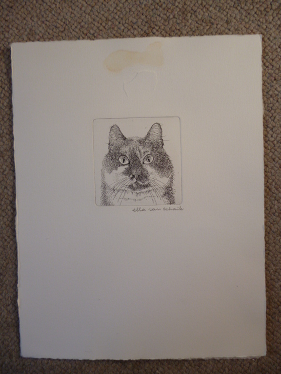 Ella van Schaik - ets - Kattekop kopen? Bied vanaf 20!
