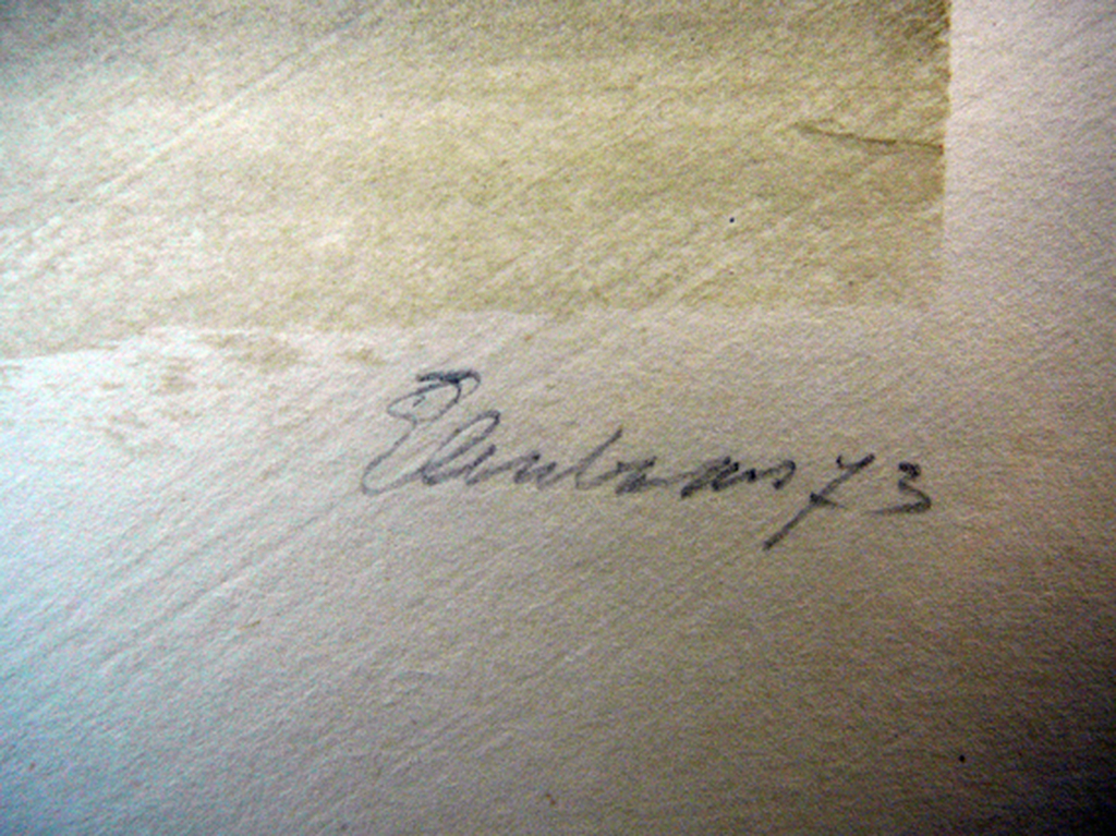 Zeefdruk: 'Peren' -onleesbaar gesigneerd / 1973- kopen? Bied vanaf 60!