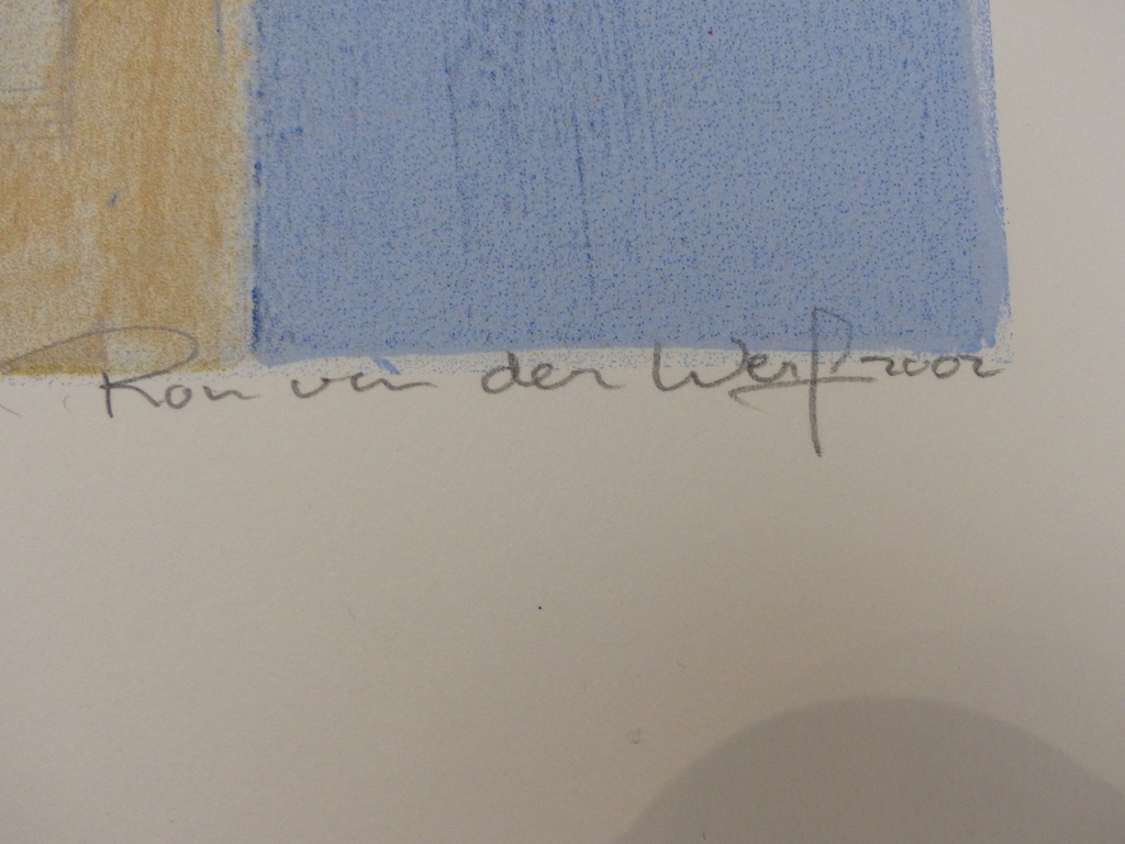 Ron v/d Werf,zeefdruk op papier met zwelinkt,prelude 1 kopen? Bied vanaf 25!