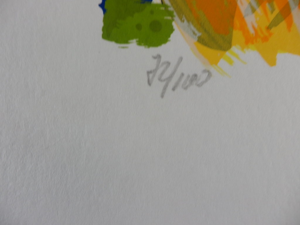 AD Van Hassel  Zeefdruk  GELE TULPEN kopen? Bied vanaf 35!