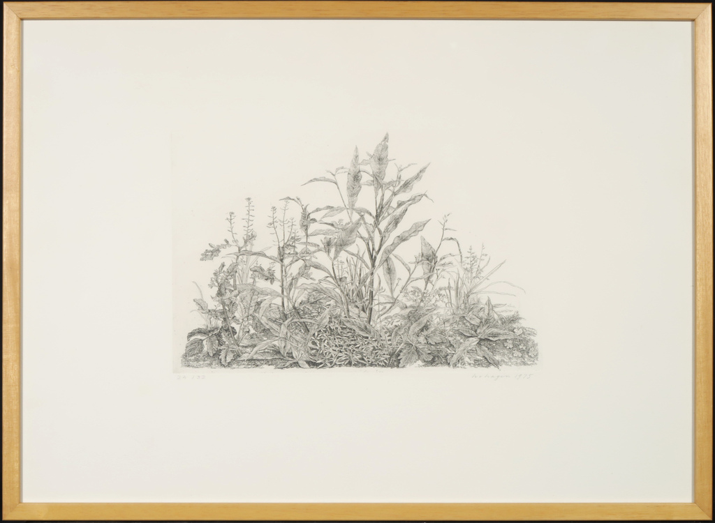 Han van Hagen: Ets, Onkruid I - Ingelijst kopen? Bied vanaf 35!