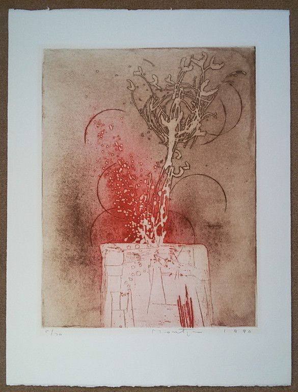 Jan Montyn - Gunung Merapi, aquatint ets kopen? Bied vanaf 175!