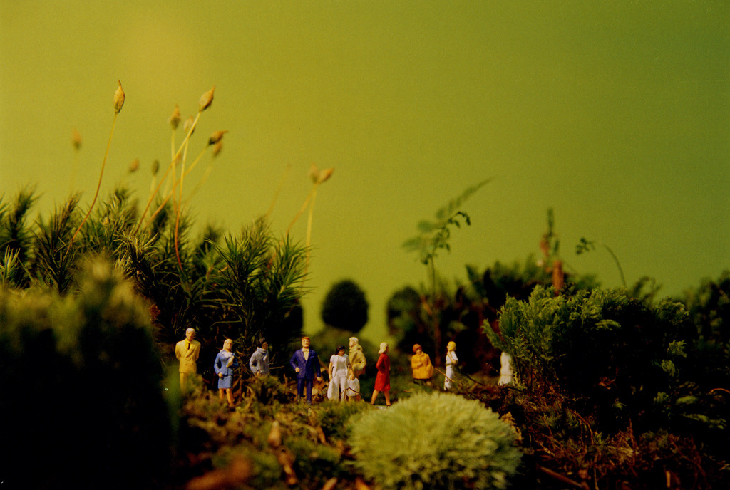 Mijn Mooie Wereld (1) 1-5 verkocht voor € 50!