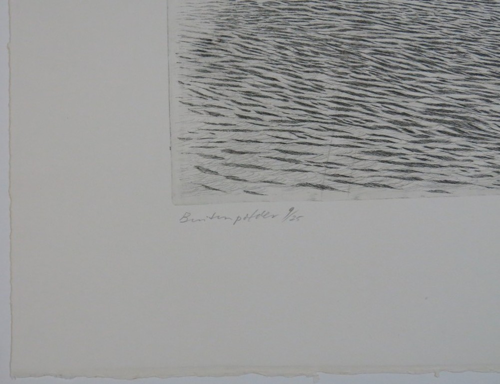 Jan Hein van Rooy: Ets, Buitenpolder kopen? Bied vanaf 1!