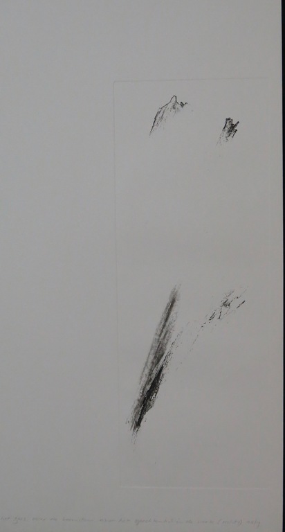 Paulien Wittenrood: Ets, Langs de takken...  kopen? Bied vanaf 1!