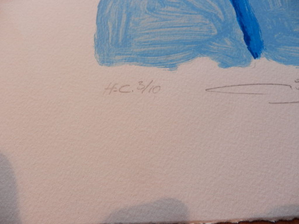 GERARD BIJNENS Zeefdruk Abstract Blauw handgesigneerd kopen? Bied vanaf 25!