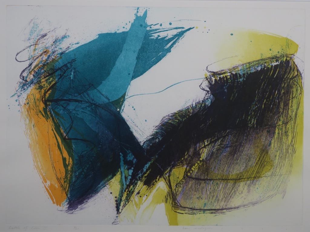 Hans Vredegoor: Ets en Aquatint, Battle of Eden II - Ingelijst kopen? Bied vanaf 40!