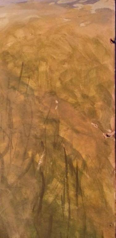 E.R.D. Schaap (1862-1939) - berglandschap - gemengde techniek op papier kopen? Bied vanaf 80!