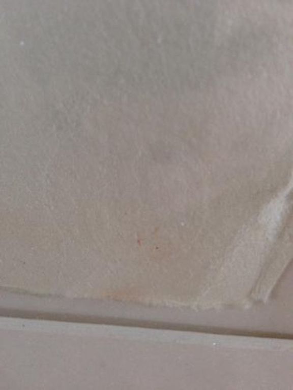 Zeer groot ingelijst werk van Anton Heyboer  kopen? Bied vanaf 300!