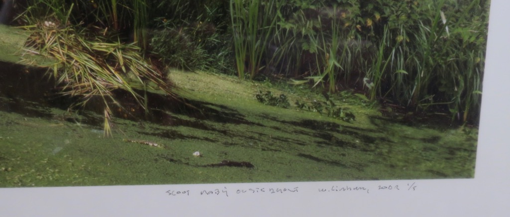 Onbekend gesigneerd: Foto, De stad en de boomgaard - Ingelijst (Groot!) kopen? Bied vanaf 1!