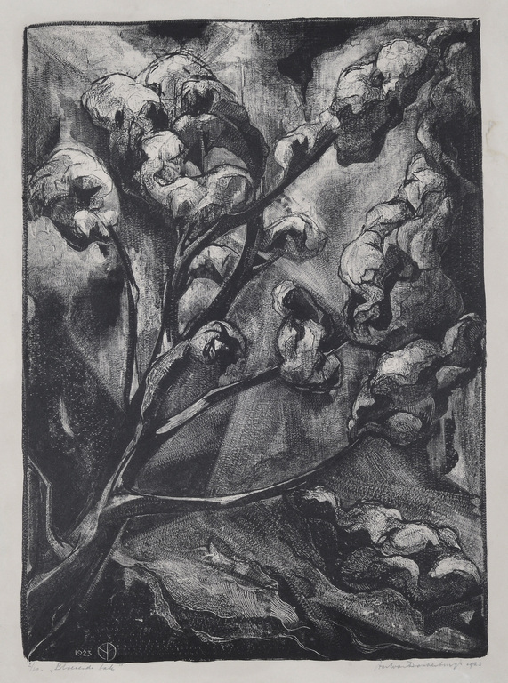 Aart van Dobbenburgh: Litho - Bloeiende tak - 1923 (2/10) - Zeldzaam kopen? Bied vanaf 65!