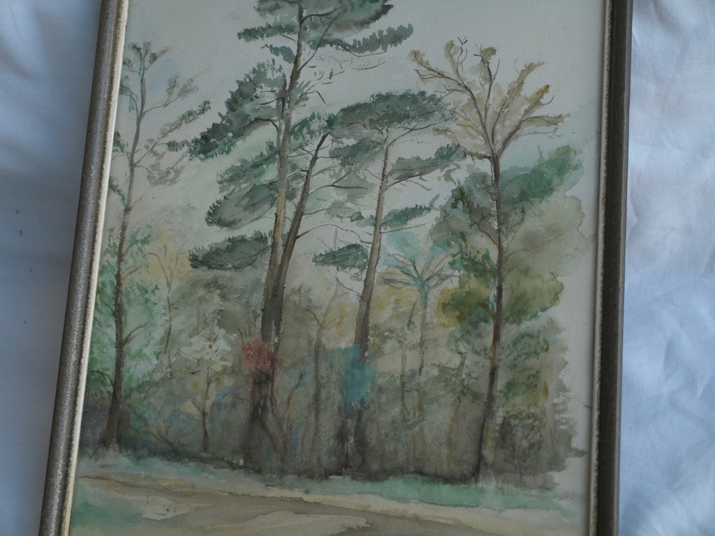 Onbekend : Aquarel, Bos – 1943 – gesigneerd en ingelijst kopen? Bied vanaf 1!
