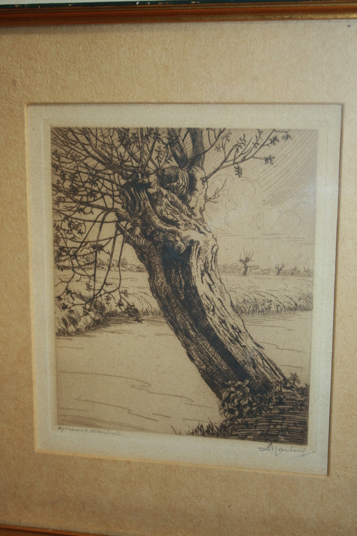 Dirk HARTING ets KNOTWILG aan een slootje kopen? Bied vanaf 1!