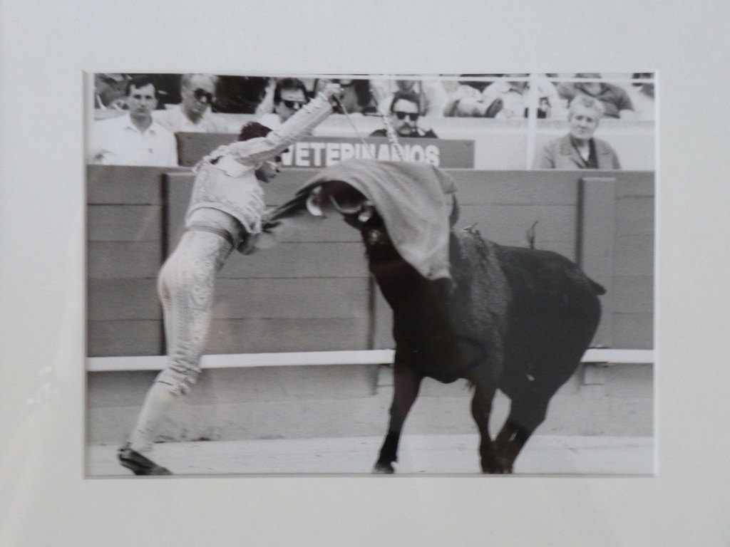 Paul Blanca, Novillos, ingelijste foto, handgesigneerd kopen? Bied vanaf 110!