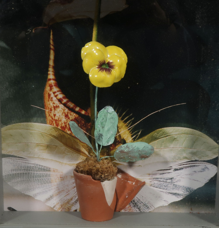 Pamela Schellekens: Gemengde techniek, Oude liefde roest niet - Ingelijst kopen? Bied vanaf 1!