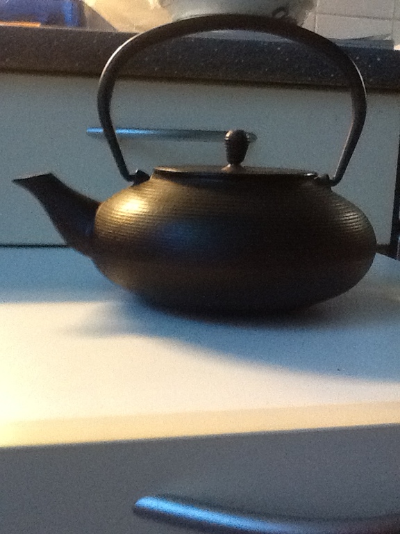 Japanse gietijzeren design theepot. kopen? Bied vanaf 5!