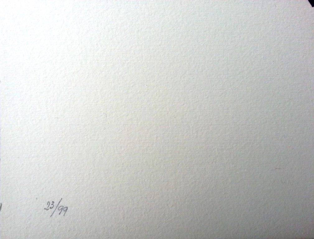 KUMI SUGAI Kleurenlithografie "S Miroir" Handgesigneerd en Genummerd kopen? Bied vanaf 119!