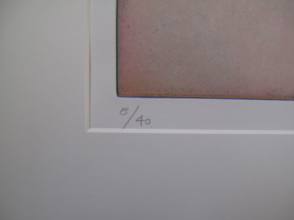 Ronald Tolman, Zonder titel 04, ets 8/40 kopen? Bied vanaf 110!