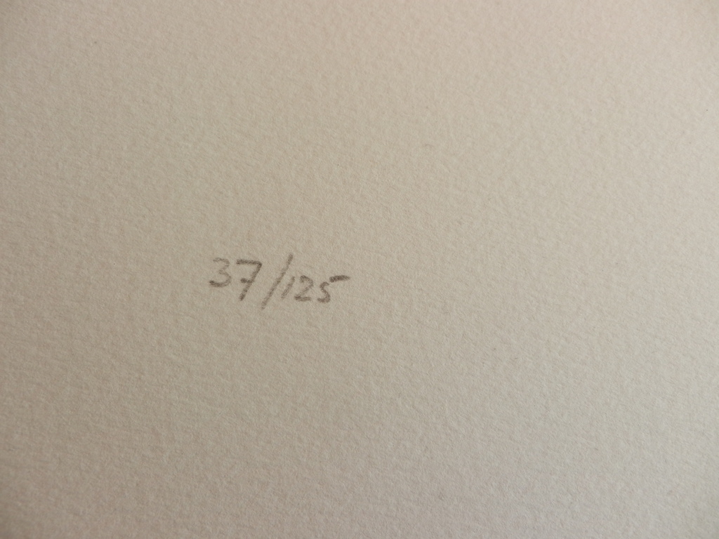 THEO WOLVECAMP   Zeefdruk  OISEAUX JOYEUX uit 1990  Handgesigneerd kopen? Bied vanaf 250!