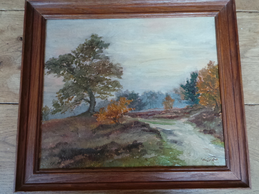 Bosgezicht kopen? Bied vanaf 25!