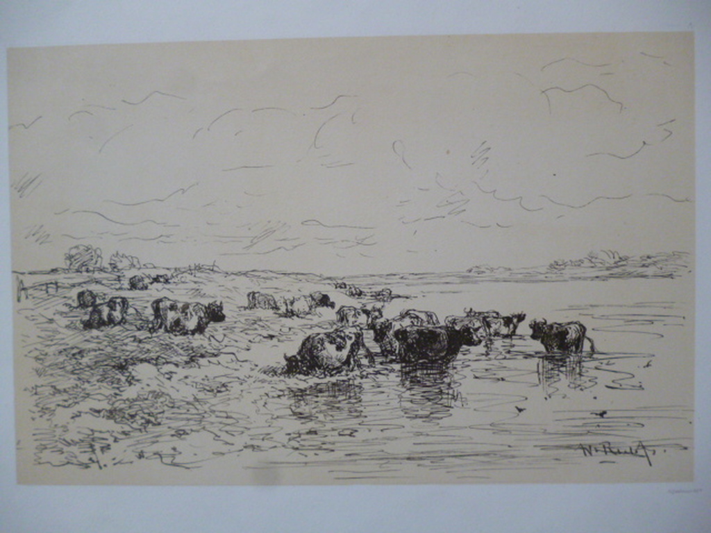 Willem Roelofs - litho - Koeien aan rivieroever verkocht voor € 40!