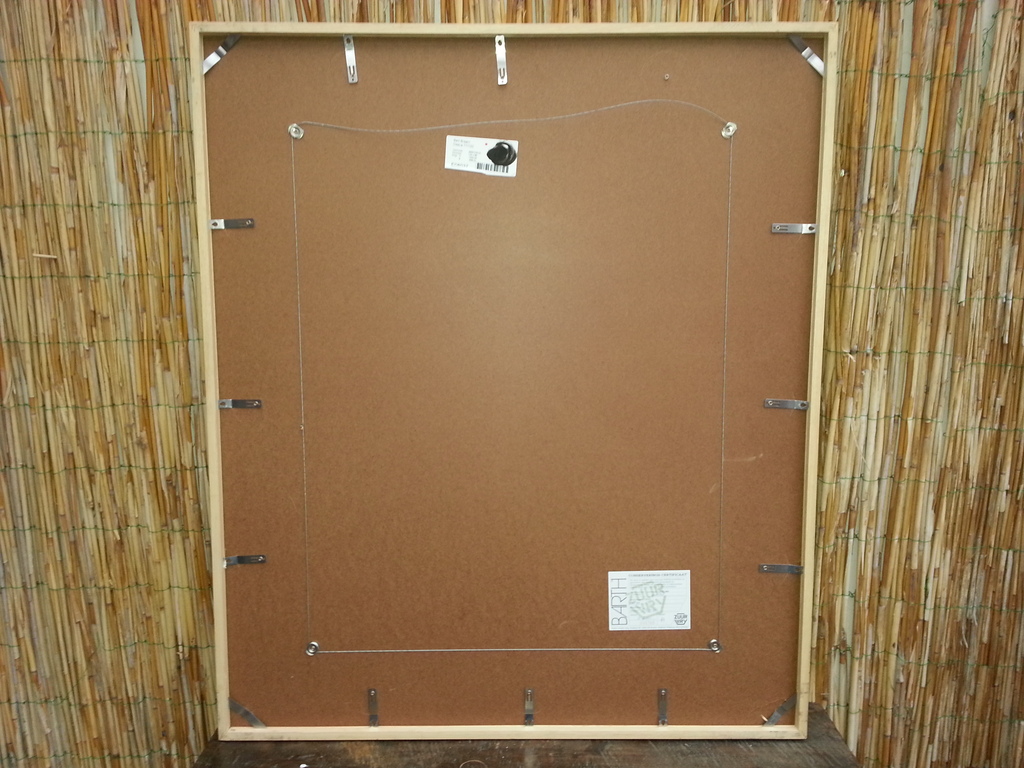 Bert Braam, Litho 77/100, hand gesigneerd en genummerd kopen? Bied vanaf 39!