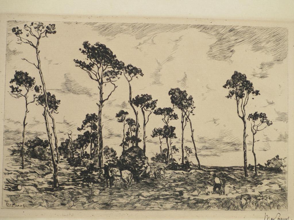 Willem de Zwart, Hakhout laden, Ets kopen? Bied vanaf 55!