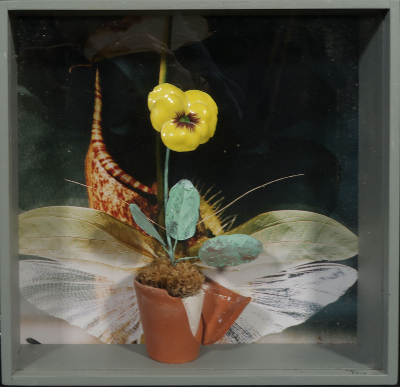 Pamela Schellekens: Gemengde techniek, Oude liefde roest niet - Ingelijst kopen? Bied vanaf 1!