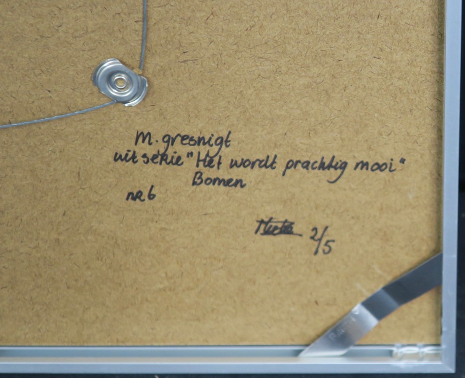 Mieke Gresnigt: Foto, Bomen -Ingelijst kopen? Bied vanaf 1!