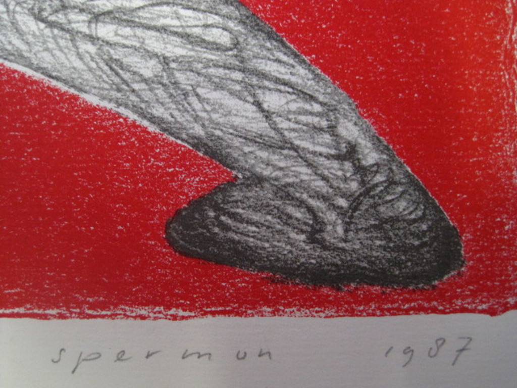 Late en  zeldzame 1987 gesigneerde Kees Spermon (1941-1992) Lithografie  kopen? Bied vanaf 1!