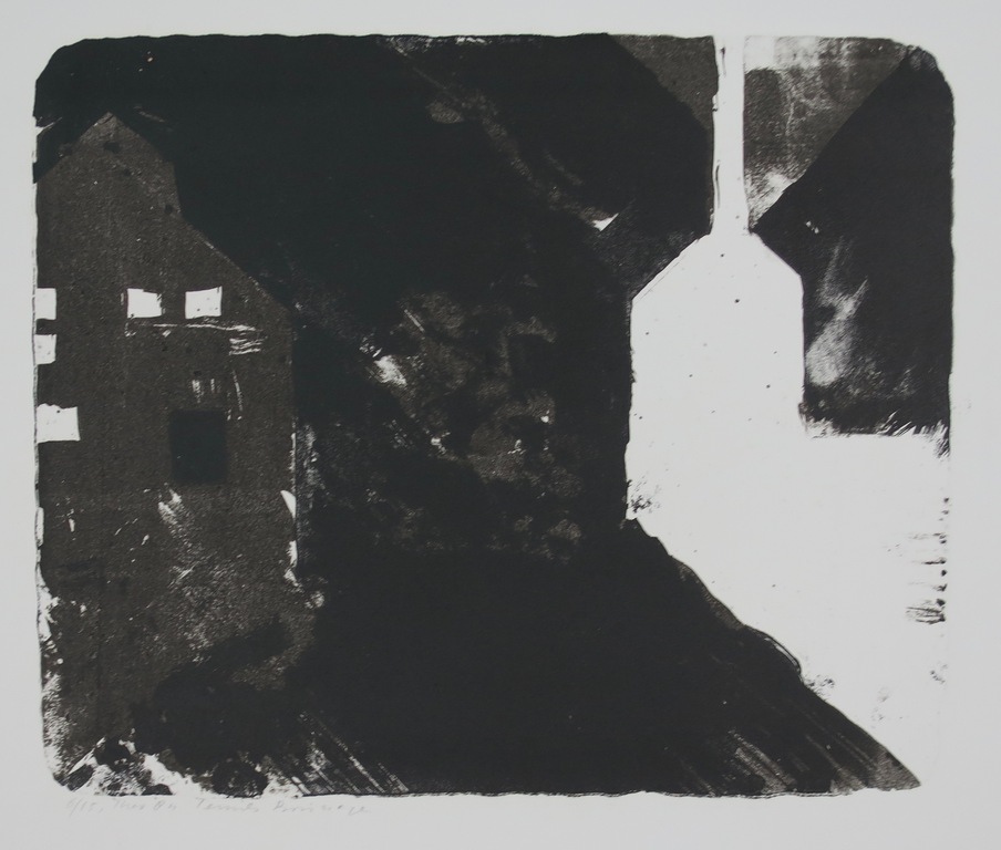 Theo Elfrink: Litho, Ternils (...) kopen? Bied vanaf 1!