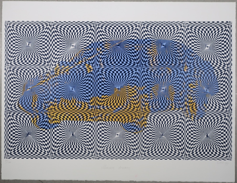 Elizabeth de Vaal: Zeefdruk, Illusive dream kopen? Bied vanaf 35!