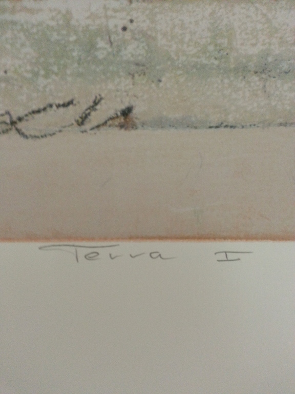Ron van de Werf, zeefdruk op papier, "Terra I" kopen? Bied vanaf 50!