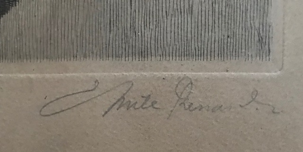 Ets van een dode vogel. kopen? Bied vanaf 1!