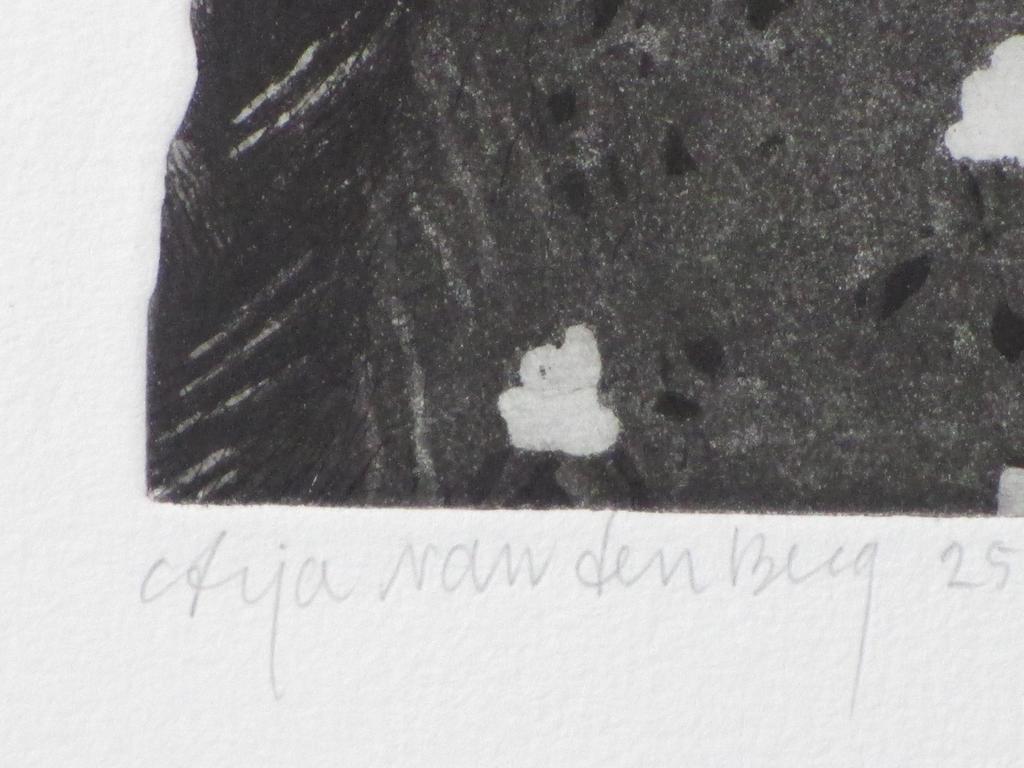 Arja van den Berg, KauwGirl, Kleurets kopen? Bied vanaf 50!