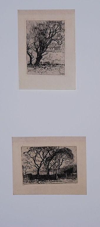 Willem de Zwart: 2 Etsen. Bomen achter heining & bomenstudie verkocht voor € 50!