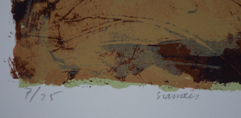 Wim Zurne: Litho, Siamees kopen? Bied vanaf 35!