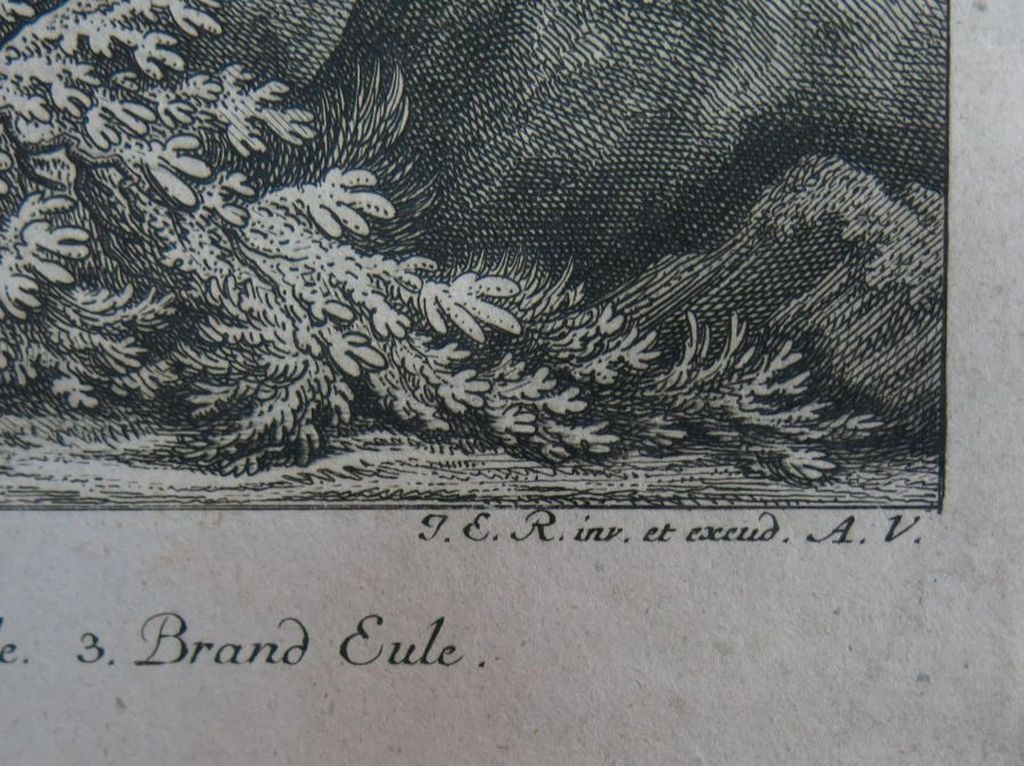 Johann Elias Ridinger: Ets, Uiltjes kopen? Bied vanaf 35!