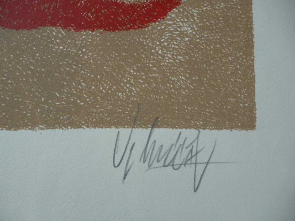 Yargo de Lucca - kleurenlitho - Vogel kopen? Bied vanaf 25!