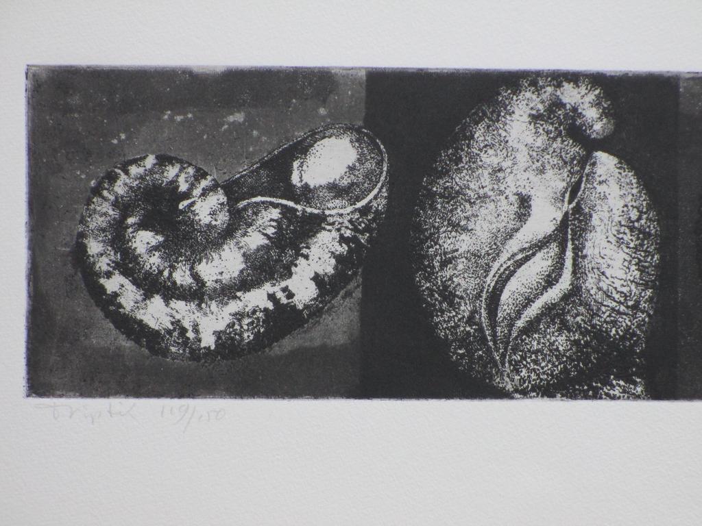 Clary Mastenbroek, Triptik, Ets 1971 kopen? Bied vanaf 45!