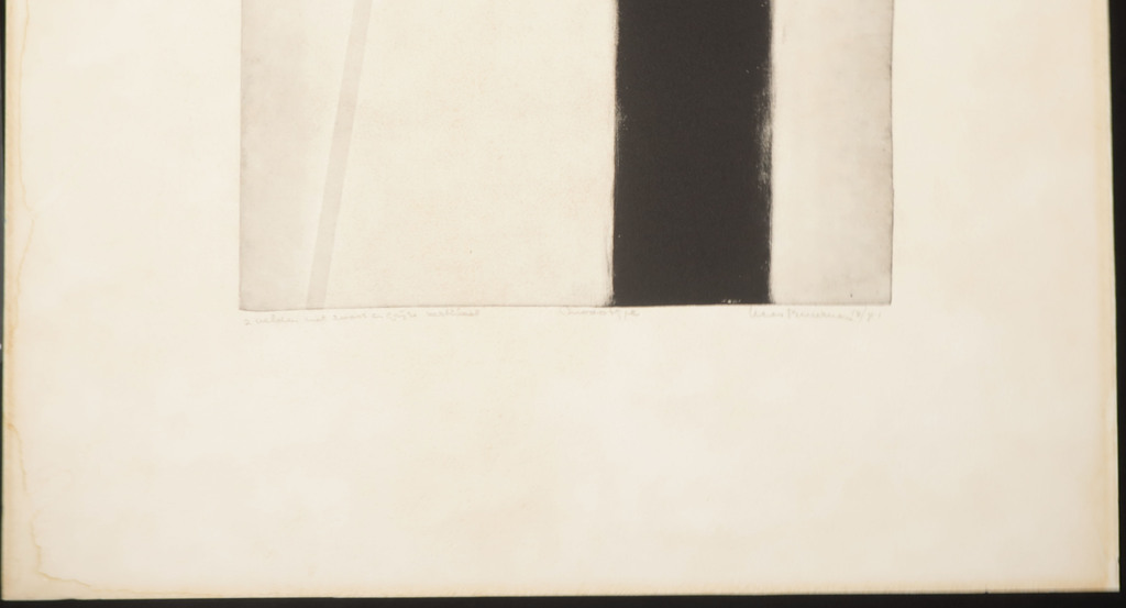 Kees Buurman: Ets, 2 velden met zwart en grijze vertikaal kopen? Bied vanaf 1!