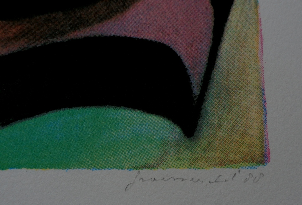 Doris Groeneveld - zeefdruk - 1988 kopen? Bied vanaf 45!