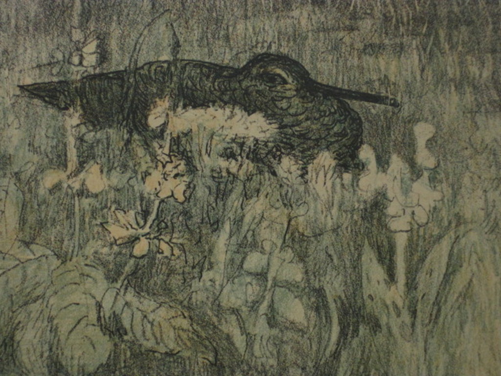 Theo van Hoytema 1863-1917 originele litho 1906 "Grutto" gesigneerd  kopen? Bied vanaf 1!