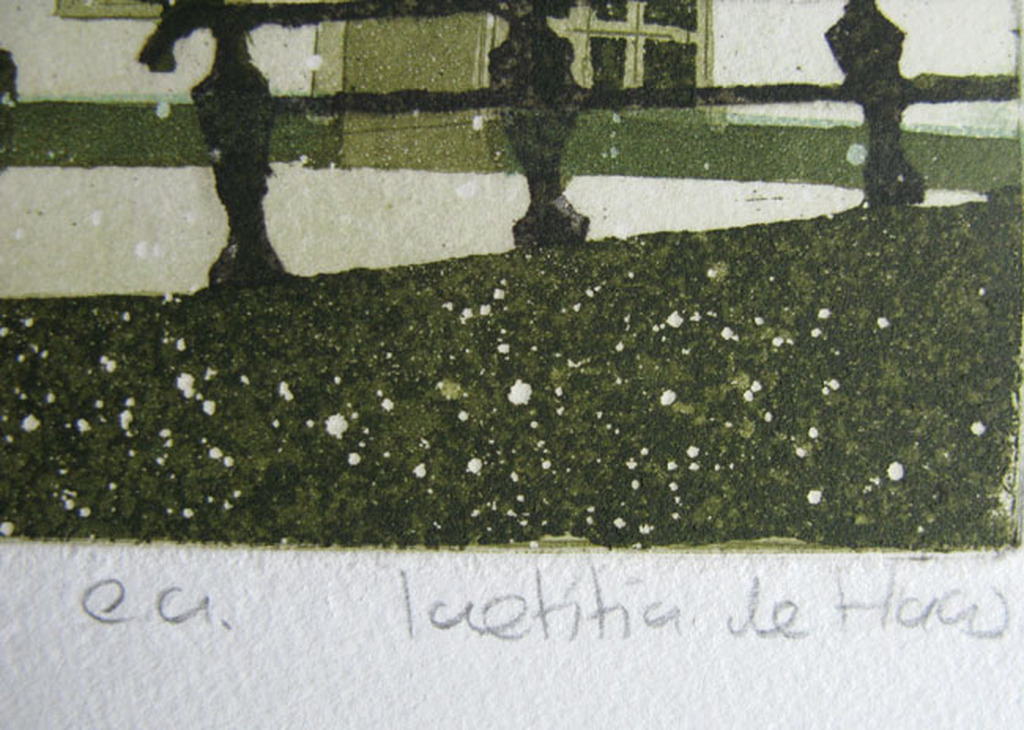 Laetitia de Haas - AMERSFOORT - kleurets kopen? Bied vanaf 1!