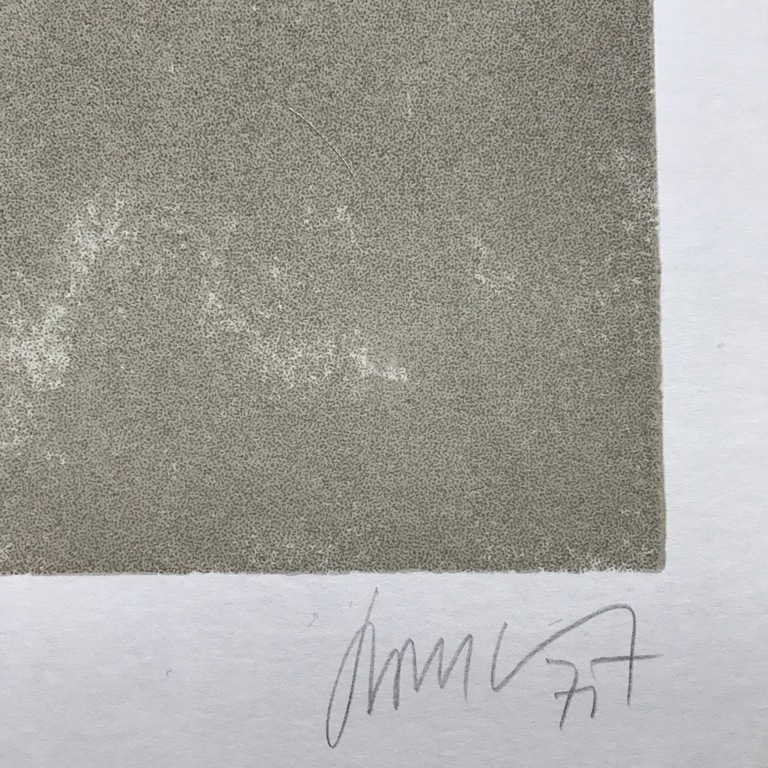 Dan Van Severen - Kleurenzeefdruk - Gesigneerd kopen? Bied vanaf 235!