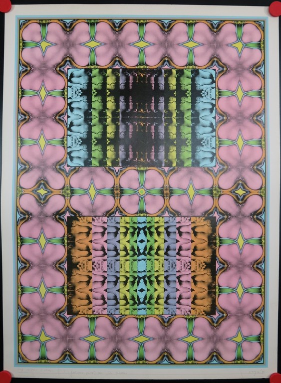 Shinkichi Tajiri: Offset, My Secret Garden No 1 kopen? Bied vanaf 70!