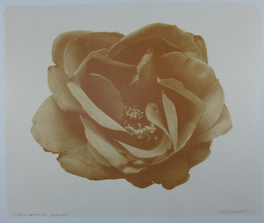 Paul Blanca - Marlene 2 - gesigneerde zeefdruk - oplage 55 ex. - 2000 verkocht voor € 110!